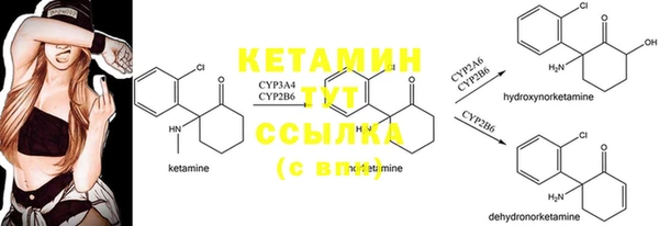 трава Касимов