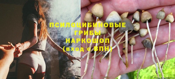 трава Касимов
