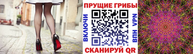 Купить  Западная Двина  Галлюциногенные грибы Psilocybine cubensis 