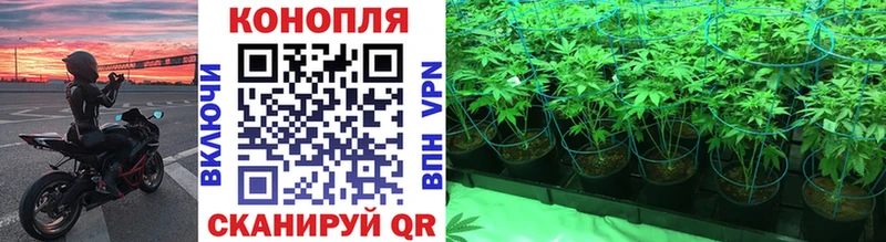 Купить  Западная Двина  Бошки марихуана гибрид 